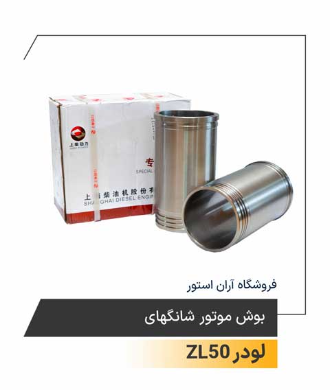 بوش موتور شانگهای