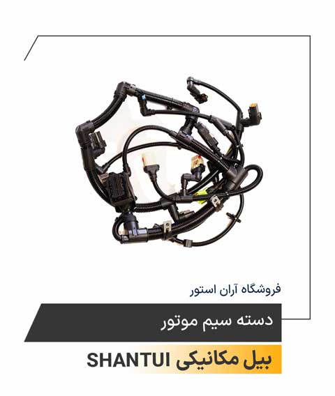 دسته سیم موتور 